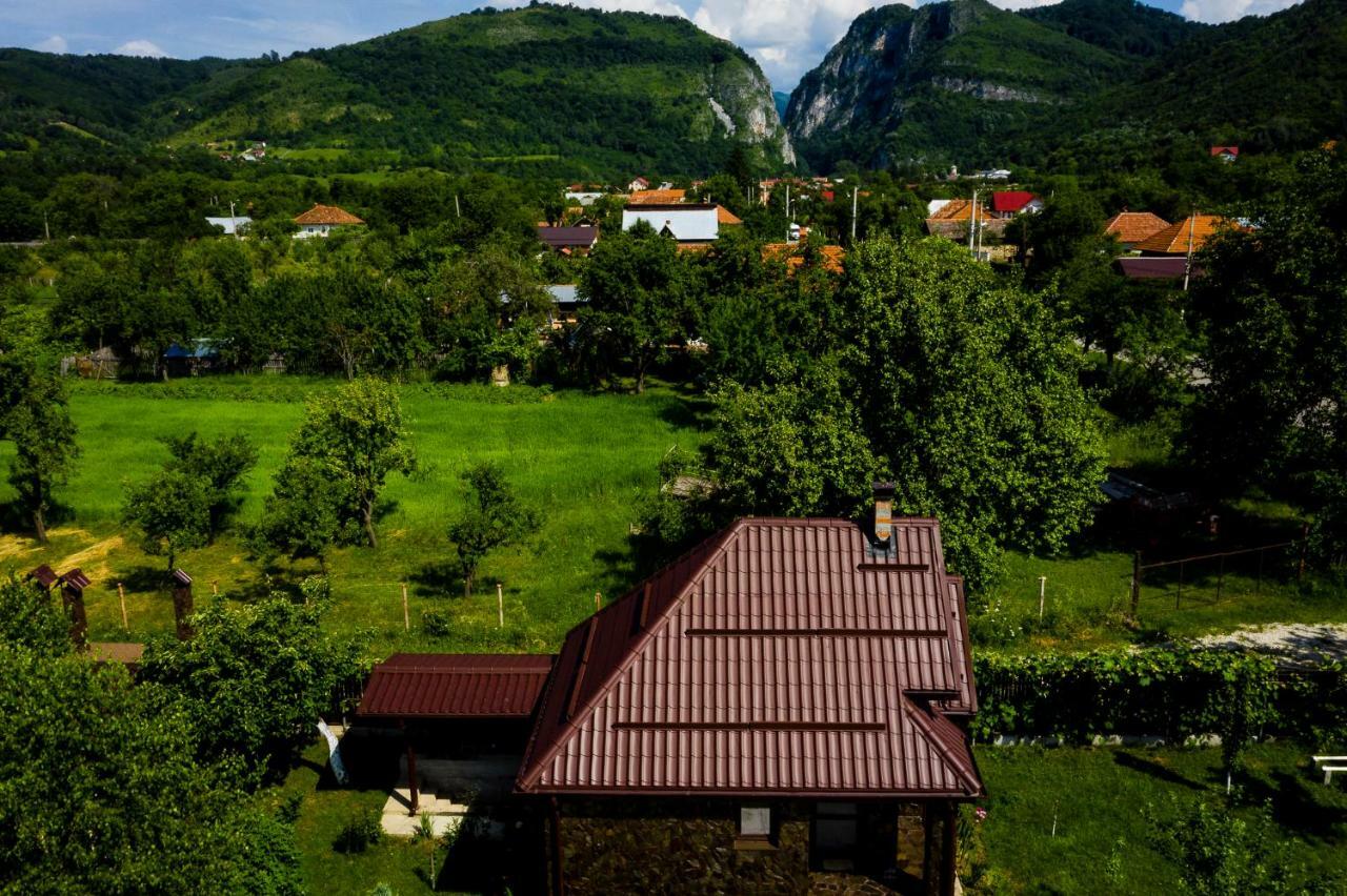 Conacul Caterinei Hotel Половраги Екстериор снимка