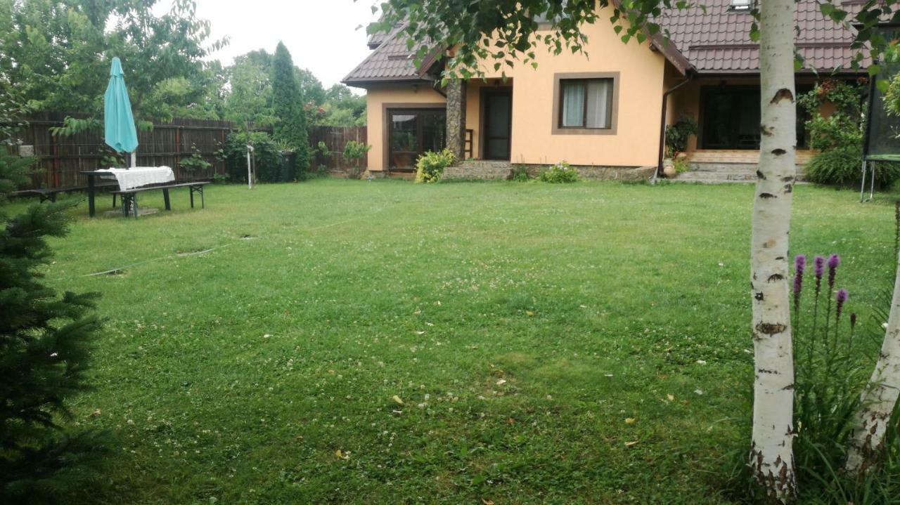Conacul Caterinei Hotel Половраги Екстериор снимка